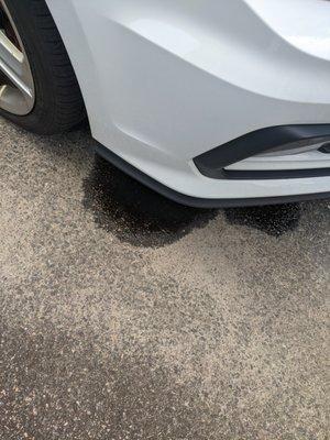 Oil puddle