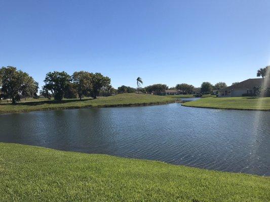 Happy homeowners back yard view.