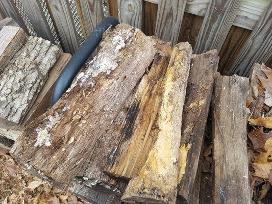 Never keep any kind of untreated wood for long periods of time close to your home. This will attract all kinds of problems you don't want.