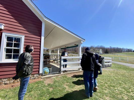 The owner, Nick telling the history of the alpaca