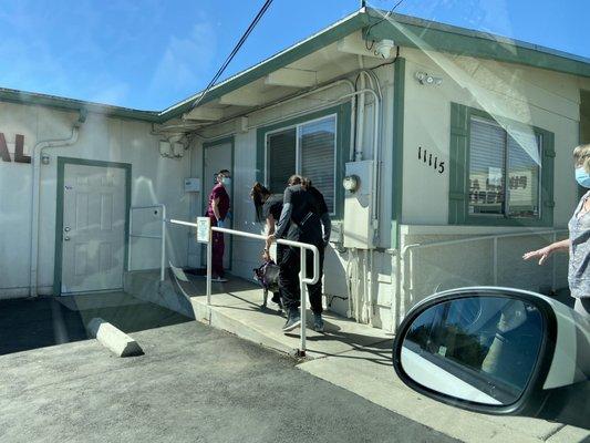 Three attendants assisting a blind senior dog into the facility,