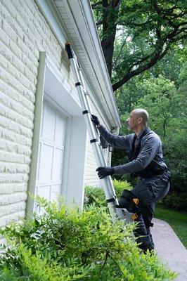 Inspecting a gutter for pest entry.