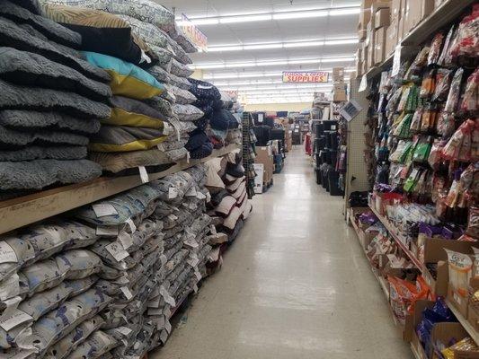 Look at all these dog beds! And treats. Who's a good dog?