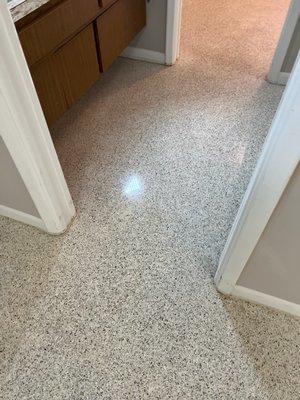 restored and polished terrazzo floor