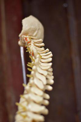 Importance of healthier spine