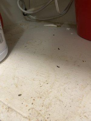 Fresh mouse poop discovered AFTER the office confirmed it was gone.