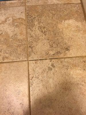 This is the tile by the tub