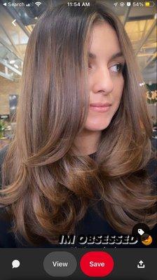 Hair goal. This is what what shown to the stylist at Pure Salon.