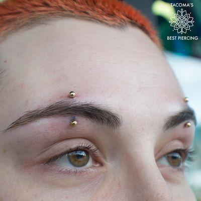 Fresh paired eyebrow piercings by John