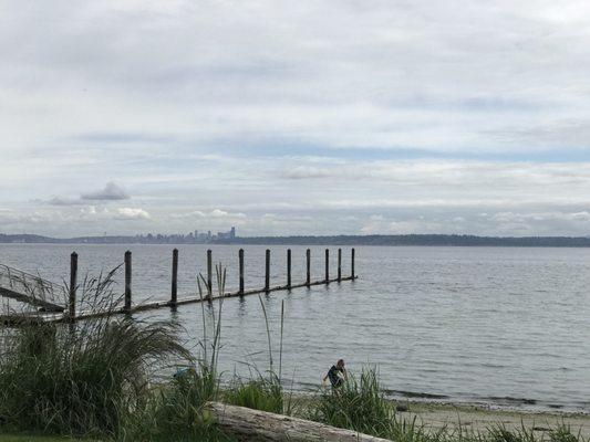 Great for beachcombing with beautiful views of Seattle and Blake island.