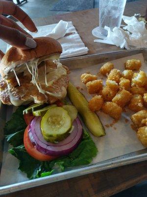 Ground turkey sandwich with tots