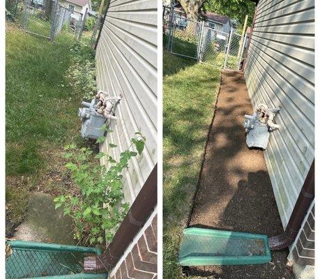 Before and after of clearing the area and creating a bed with mulch.