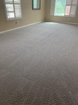 Textured Carpet