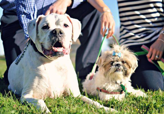 Chesty & Pearl - Fall Family photos