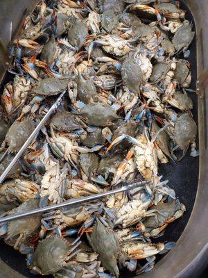 Live crab and crawfish here.