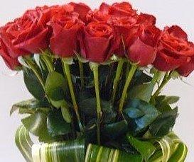 Two Dozen Roses in Cylinder Vase.  Any Color. Call for Color Availability.