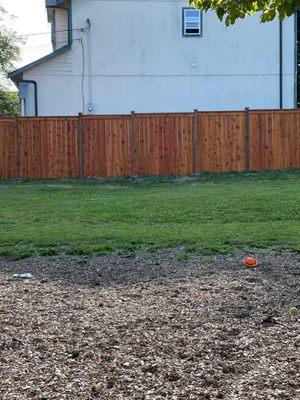 Our fence 116 ft stained to finish