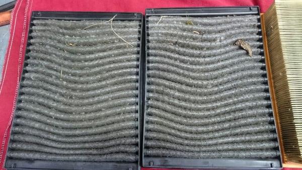 Dealerships said these cabin filters were clean. At West Werks we actually inspect the items per the manufactures recommendations