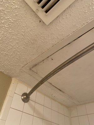 Rusted pole. Had to tape the weird door on the ceiling shut so a bunch of dust wouldn't fall down while I was showering.