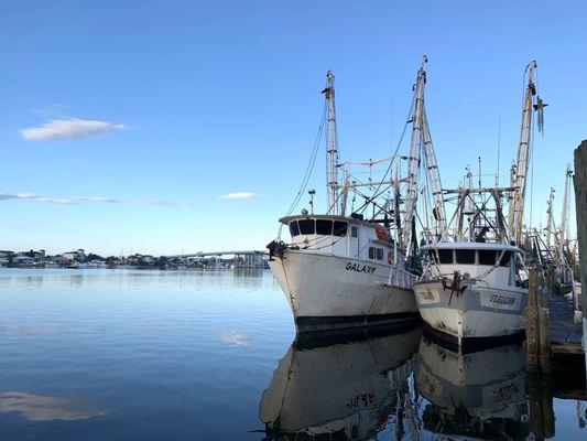 How we get wild caught chemical free gulf pink shrimp to our table.