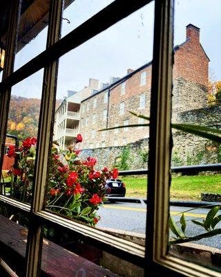 View from my table! Fall colors & historic buildings!