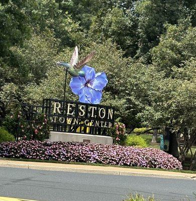 Reston Town Center- I love the hummingbird and the flower.