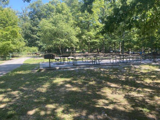 Lots of picnic areas (majority are in the shade). These are closer to the beach as well