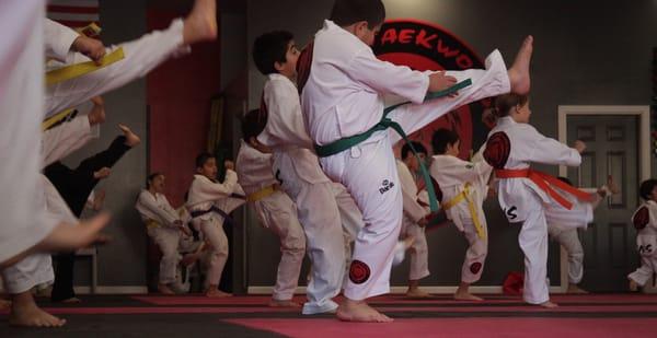 Taekwondo class.