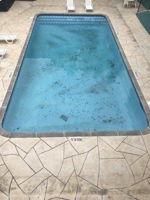 small pool, presentation only-on a good day, as it's right in front of leasing office.