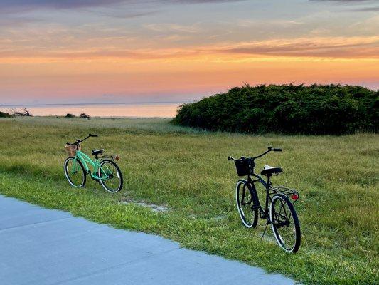 Bikes. There are bike trails across the entire island.