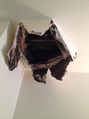 Our bathroom ceiling collapsed one morning.