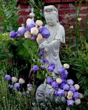 Kuan Yin shares beauty and compassion with the world