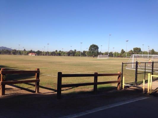 Approximately a Dozen Well Maintained Soccer Fields  !!!