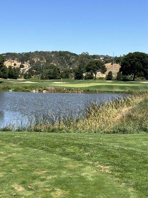 Short but tricky par 3 with an interesting green.