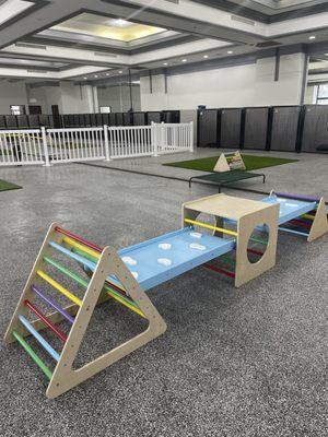 BIG DOG PLAY AREA