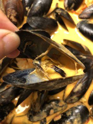 Mandolino Mussel- previously frozen (makes them split like that) and most went bad.