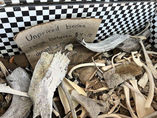 Bones for sale