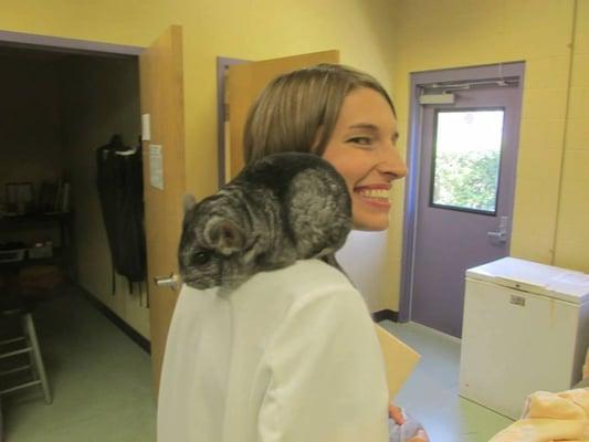 Dr. Wilkinson with an awesome chinchilla