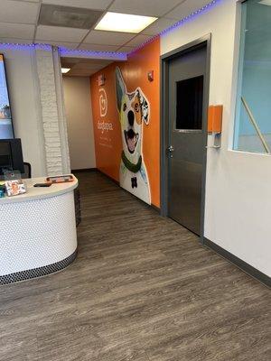 The reception area is very clean and the live webcams allow for pet parents to see where their fur babies are playing.