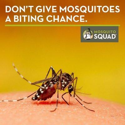 Enjoy your outdoor spaces again with Mosquito Squad of St. Petersburg's mosquito removal services...