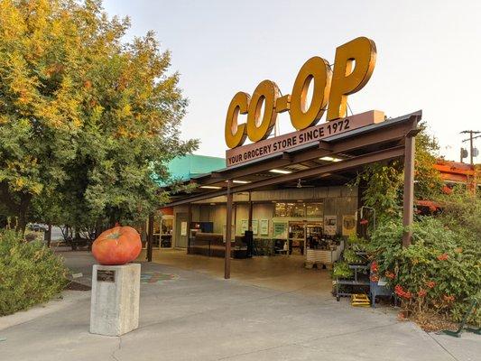 Davis Food Co-op