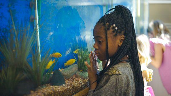 Child admiring the fish in our Annapolis office waiting area