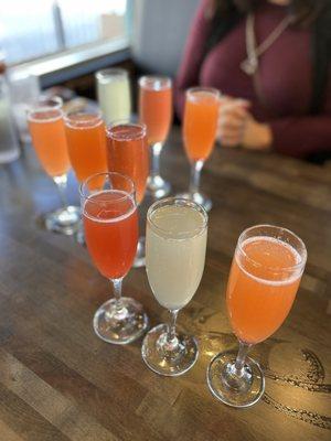 Mimosa flights