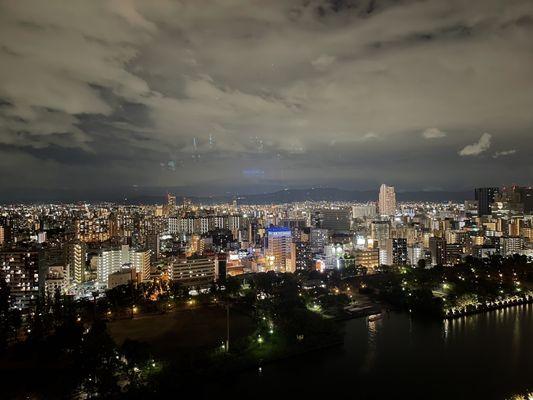 Tokyo nights