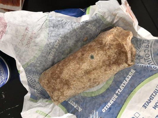 Moldy Veggie Burrito