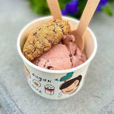 Vegan ice cream and cookie