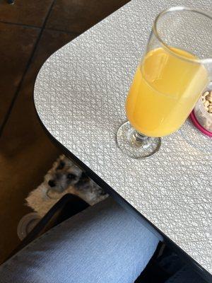 My adorable doggo and a yummy mimosa!