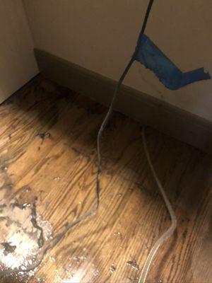 Water Damage