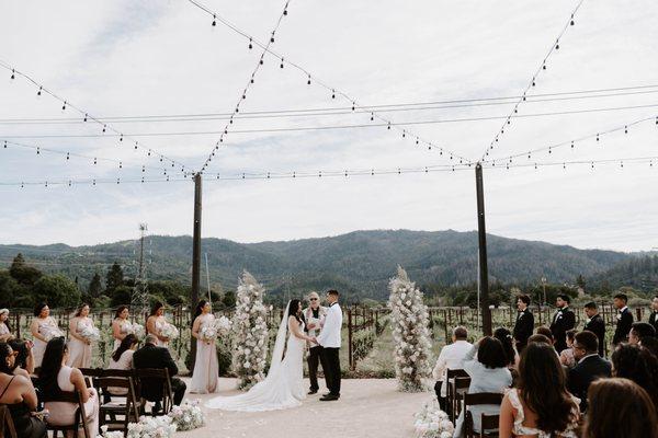 Ceremony in the vineyard