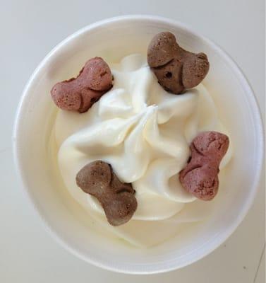 Kiddie sized doggie sundae :)  complete with milk bone pieces.